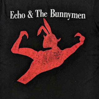 Echo & The Bunnymen