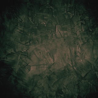 Type O Negative Layered Long Sleeve T-Shirt: Faces (Black & White) (Sleeve Print)