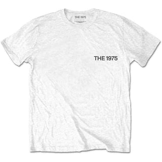 The 1975 T-Shirt: A Brief Inquiry