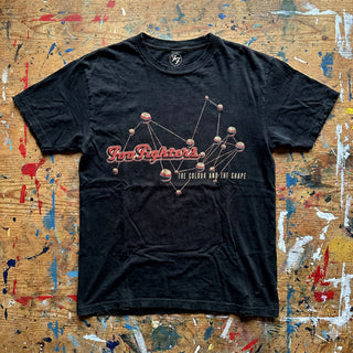 Foo Fighters Carbon T-Shirt: The Colour & The Shape (Black) (Back Print)