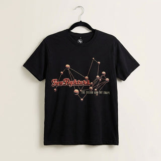 Foo Fighters Carbon T-Shirt: The Colour & The Shape (Black) (Back Print)
