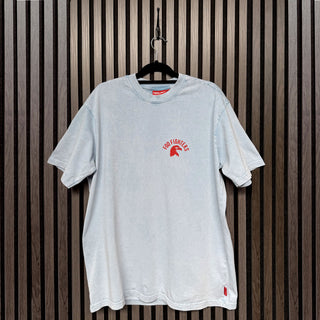 Foo Fighters Unplugged T-Shirt: Eagle World Tour (Light Blue) (Back Print)
