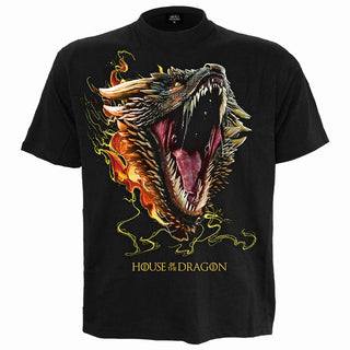 House of the Dragon T-Shirt: HOD2 Drogon (Black)