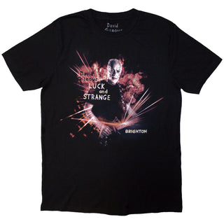 David Gilmour Unisex T-Shirt: Luck & Strange Brighton (Black) (Back Print & Ex-Tour)