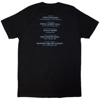 David Gilmour Unisex T-Shirt: Luck & Strange Rome (Black) (Back Print & Ex-Tour)