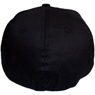 In Flames Unisex Snapback Cap: Black Logo (Black) (Back Print)