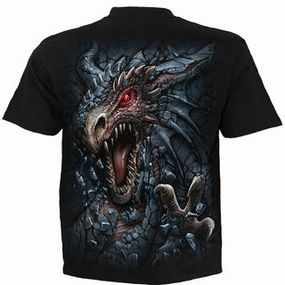 Spiral T-Shirt: Dragon's Lair (Black)