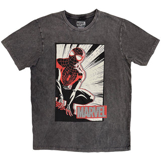 Marvel Comics Stone Wash T-Shirt: Spider-Man Crouch Cartoon (Charcoal Grey)