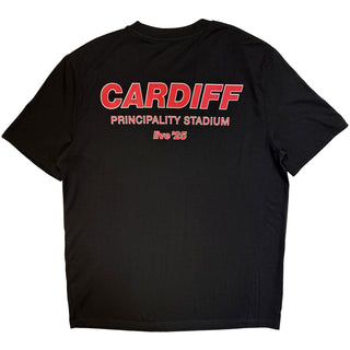 Oasis T-Shirt: Cardiff City Pop Up (Black) (Back Print & Ex-Tour)