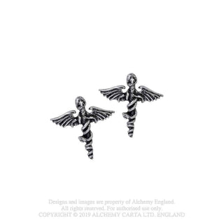 Motley Crue Earrings: Swords