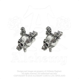 Metallica Earrings: Damage Inc. Skull