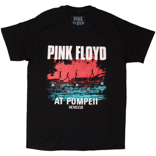Pink Floyd T-Shirt: Pompeii Cover (Black)(UNFINISED)