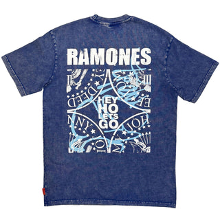 Ramones Unplugged T-Shirt: Presidential Seal Wash (Blue) (Back Print)