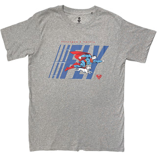 DC Comics T-Shirt: Fly (Grey)