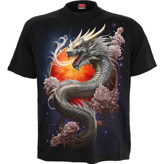 Spiral T-Shirt: Sun Dragon (Black)