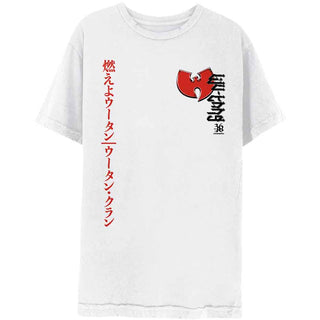 Wu-Tang Clan T-Shirt: Swords (Back Print)